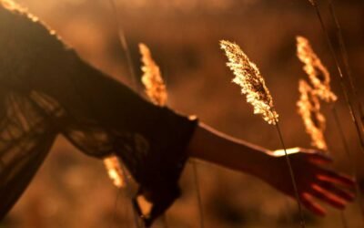 Uma data a comemorar